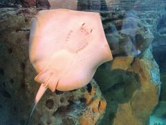 -珠海长隆海洋王国