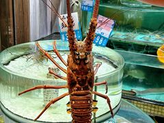 -强记海鲜·大排档(蛇口新街店)