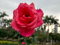 -人民公园(罗湖区)