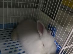-邦泰·异宠动物医院