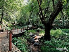 -吉林市朱雀山国家森林公园