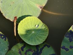 -处女泉风景名胜区