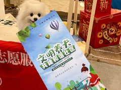 -金茂览秀城