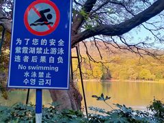 -紫霞湖公园