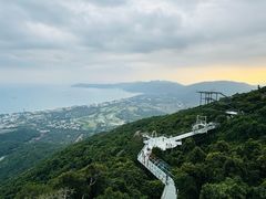 -三亚亚龙湾人间天堂鸟巢度假村
