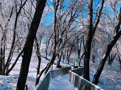 -中旅松花湖滑雪场