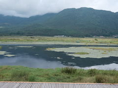 -腾冲北海湿地