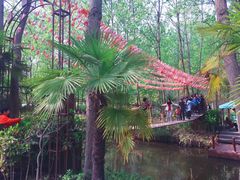 -合肥滨湖国家森林公园