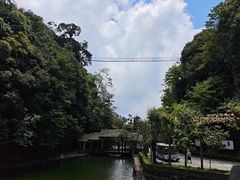 -云南屏边大围山国家公园