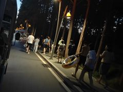 -日照海滨国家森林公园