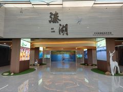 -溱湖国家湿地公园