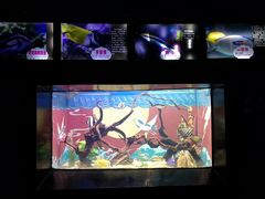 -烟台海昌鲸鲨海洋公园