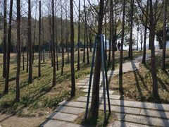 -牛岗山公园
