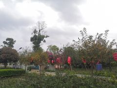 -洪湖家庭农场·团建·露营·会议