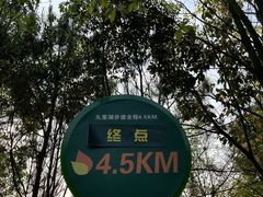 -河源万绿湖美思威尔顿酒店