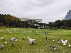 -白鹭洲公园
