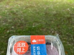 -羊山湖公园