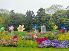 -上海共青森林公园