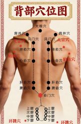 -玛莲朵·海菲秀冰珀科