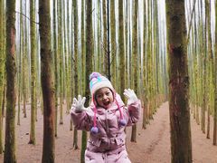 -山王坪喀斯特国家生态公园
