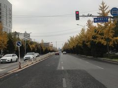 -中国中医科学院望京医院(院本部)