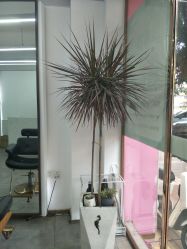 -A HAIR SALON 