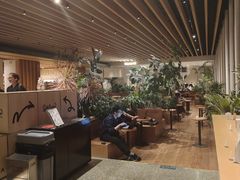 -Seesaw Coffee(朝阳大悦城店)