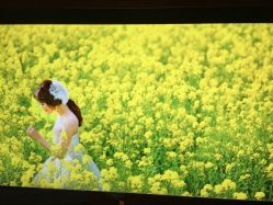 -易摄影婚纱摄影工作室