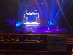 -广州长隆国际大马戏