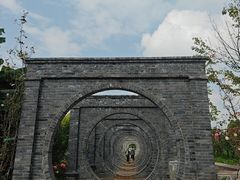 -庾园