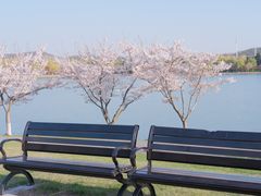 -羊山湖公园