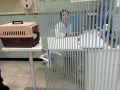 -悦宠凯宝动物医院·牙科·皮肤科(朝阳北路店)