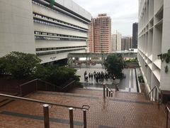 -香港大学