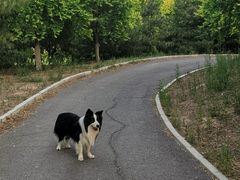 -绿堤公园
