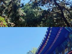 -颐和园
