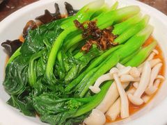 白灼菌菇菜心-新白鹿餐厅(爱琴海购物中心店)