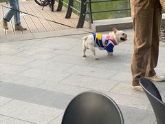 -Fiume福弥意大利餐厅