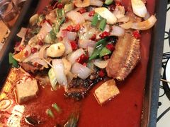 -新凯旋烧烤·燕姐千岛湖土菜