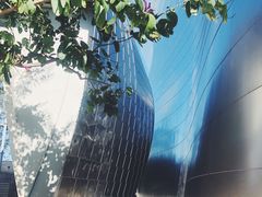 -华特·迪士尼音乐厅