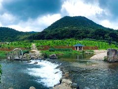 -广州市石门国家森林公园