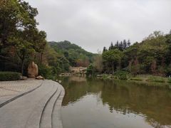 -云溪植物园