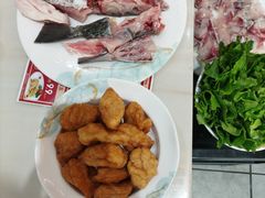 -港升鱼师傅·中山脆肉鲩