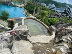 -天芳悦潭度假村温泉