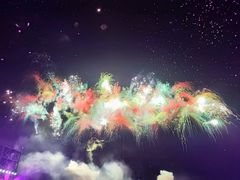 -花博汇(知音花月夜)