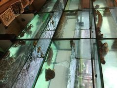 小芳海鲜厅-合家小菜餐馆(新诚花苑店)