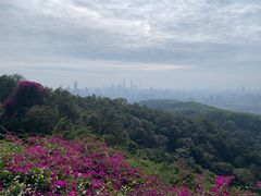 -广州市白云山风景名胜区