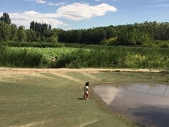 -奥林匹克森林公园南门-停车场