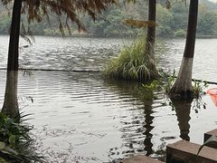 -重庆彩云湖湿地公园