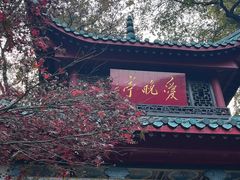 -岳麓山风景名胜区