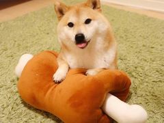 -星巴克(上海交通大学店)